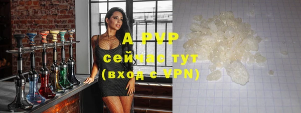 PSILOCYBIN Каменск-Шахтинский