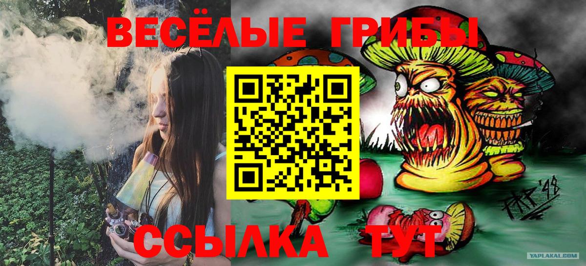 Псилоцибиновые грибы MAGIC MUSHROOMS  где можно купить наркотик  Галлюциногенные грибы Psilocybe  Раменское  Вход с VPN 